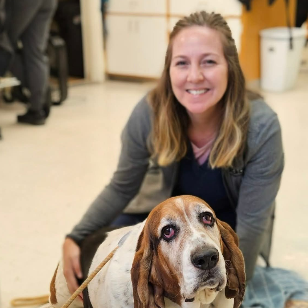 Vets examining dog