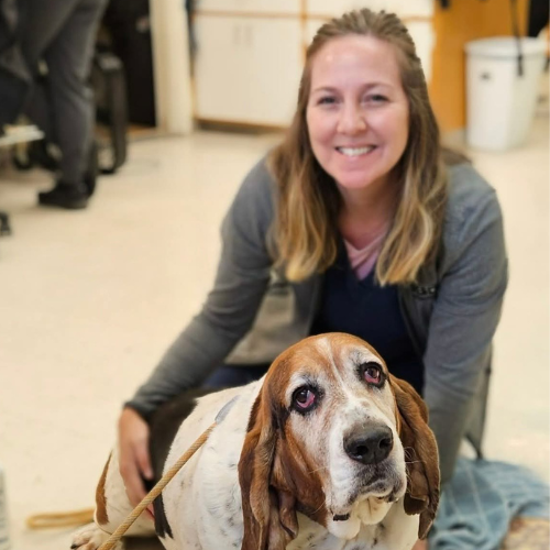 Vets examining dog